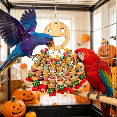 Large Bird Toys for Parrots Toys Natural Colored Wooden Bird Cages Chew Accessories for Macaws (Colorful Round Discs)