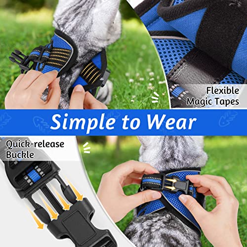Cat Harness and Leash Set (M / Blue)