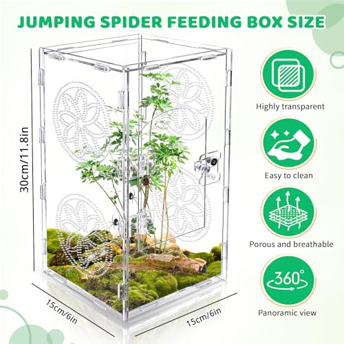 Large Jumping Spider Enclosure (transparent / 11.8*6)