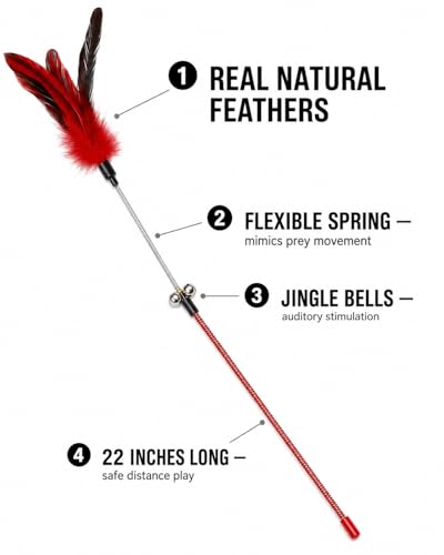 Cat Feather Wand Toy Set
