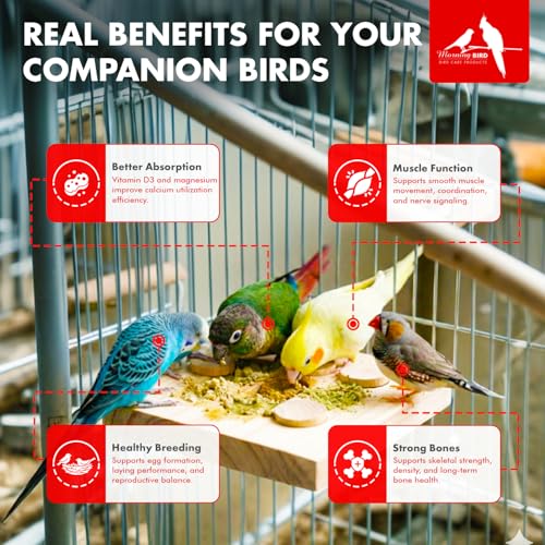Calcium Plus Powder for Birds 2 oz (2 Oz)