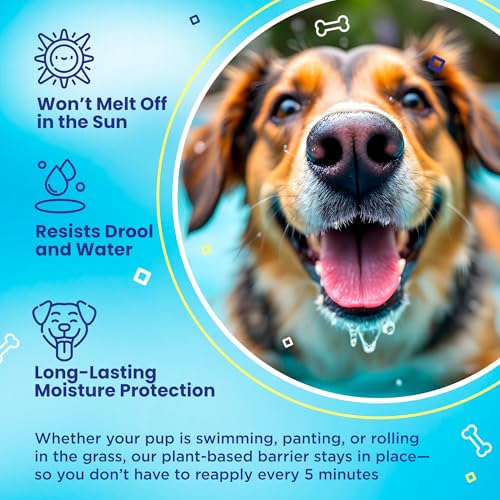 SnoutScreen Dog Sunscreen Balm for Nose & Paws (1 Ounce (Pack of 1))