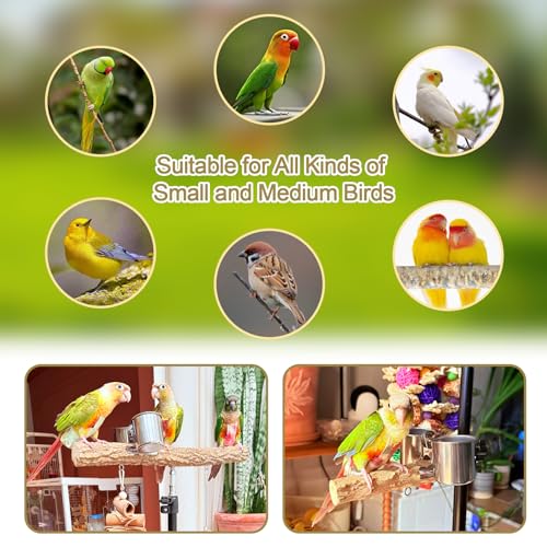 3-Layer 16-63 Inch Height Adjustable Bird Perch Pepper Wood Birds Training Perch Stand Parakeet Perches Indoor and Outdoor Parrot Stands for Small to Medium Bird (Three-tier floor stand)