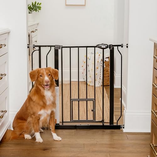 Carlson 29 36.5” Extra Wide Dog Gate with Small Pet Door (Black / 29.5-36.5" W x 30" H)