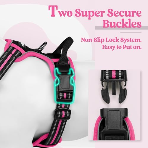 Dog Harness No Pull for Large Dogs with 2 Leash Clips (Large / Black & Hot Pink)