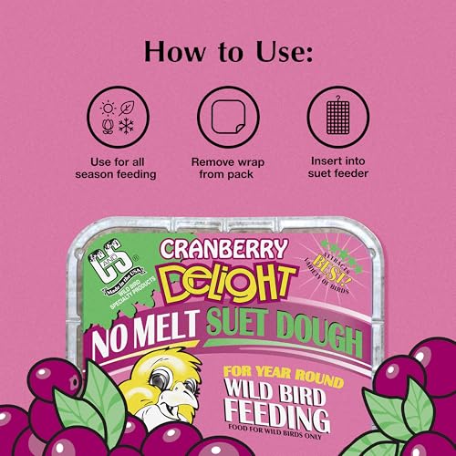 Cranberry Delight No Melt Suet Dough (1.47 Ounce (Pack of 8) / Cranberry, 8 Pack)