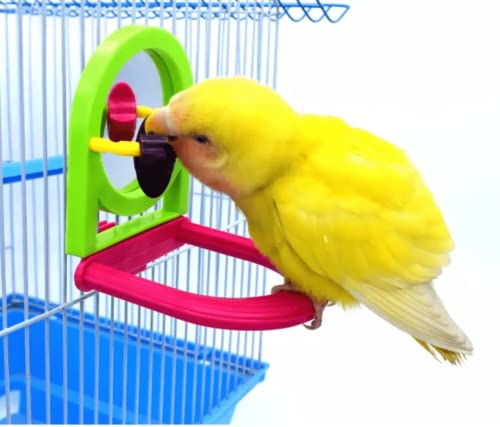 Bird Mirror for Cage