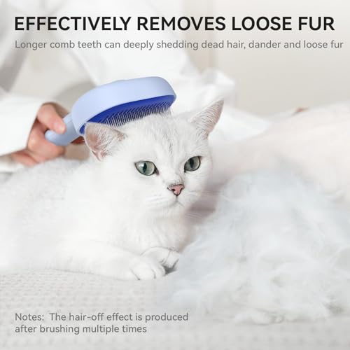 Skin Friendly Self (Blue)