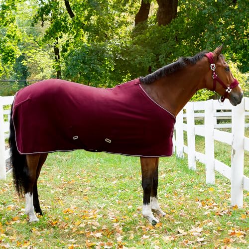 Kiel Horse Halter (Dark Red / Pony)