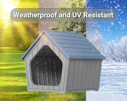 Outdoor Dog House (Blue / 23.43*22.64*22.8)