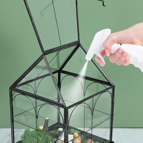 Glass Terrarium with Metal Tray (Small-5.9"L x 5.9"W x 10.2"H)