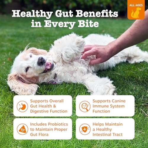 Ancient Elements Probiotics for Dogs (90 Count)