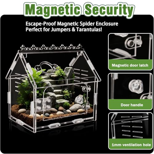 Jumping Spider Enclosure