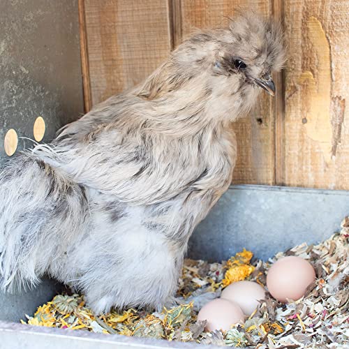 Floral Nesting Herbs for Chickens (10 ounce)