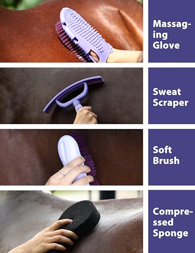 Horse Grooming Kit (Sugar Taro)