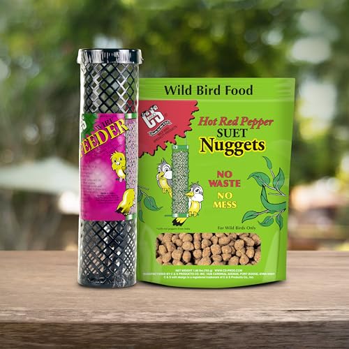 Berry Flavor Suet Nuggets (1.69 Pound (Pack of 1))
