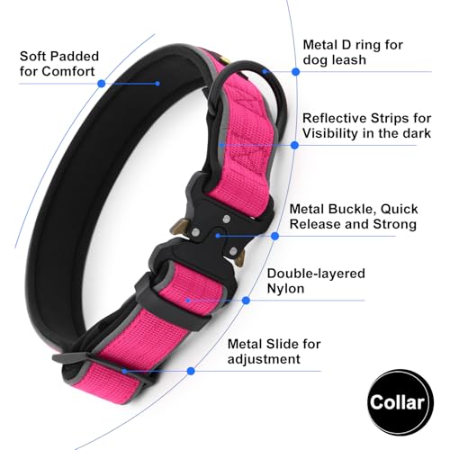 Tactical Dog Collar (M / Hot Pink)