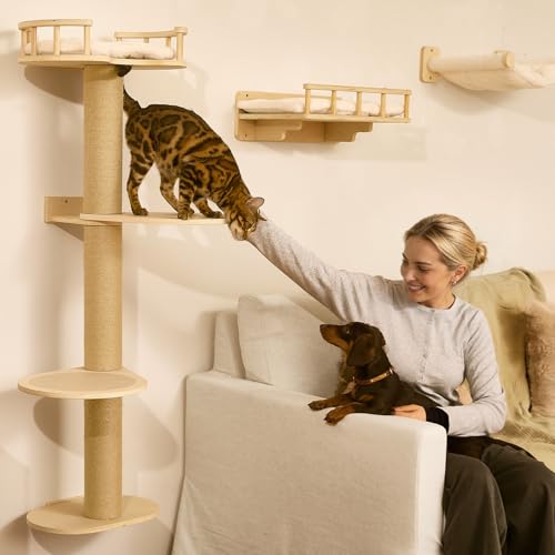 Cat Wall Shelves (Beige-2)