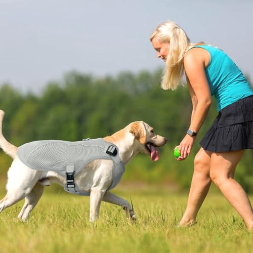 Dog Cooling Vest for Large Dogs with with Sun Protection (Xxl (Chest Girth:31.1'') / Mist Gray)