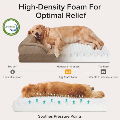 Orthopedic Extra Large Dog Bed (Brown / XXL (48"x 35"x 7.5"))