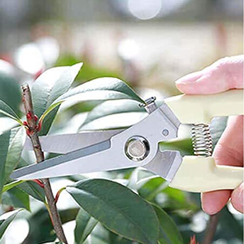 garden scissors (Ivory White)