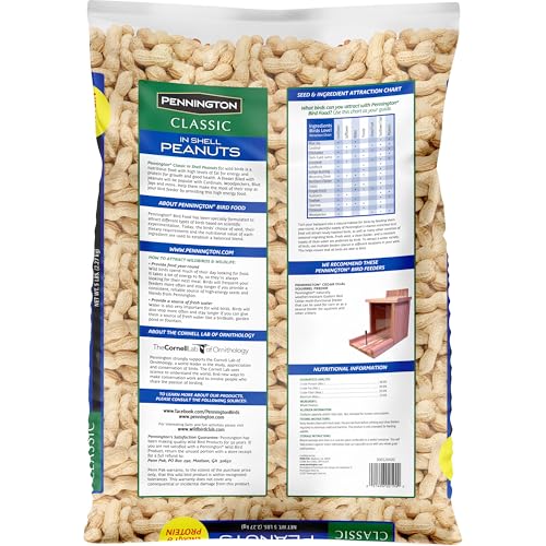 Classic in Shell Peanuts 5 pounds (5 Pound (Pack of 1))