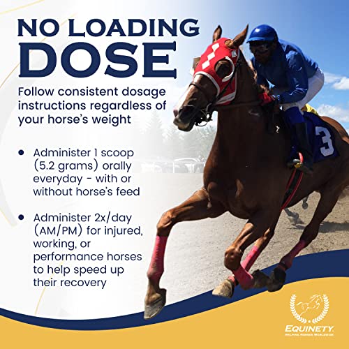 100 Day Supply Equinety Horse XL Powder Horse Supplement with Amino Acids (Horse XL)
