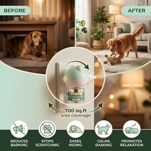 Dog Pheromone Diffuser Kit (6 packs - Bear Diffuser)