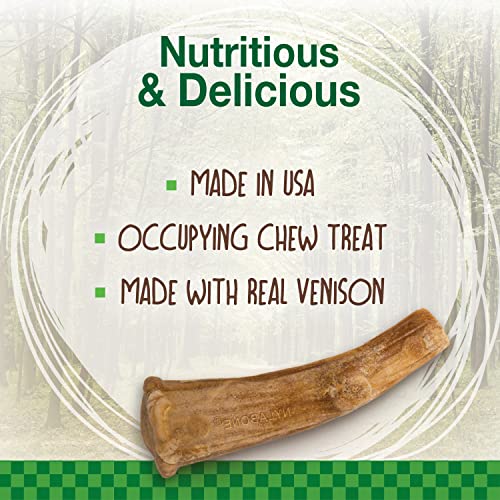 Healthy Edibles Wild Dog Treats (2.8 Ounce (Pack of 1))