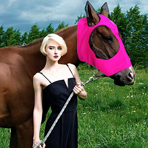 6 Pcs Horse Fly Masks with Ears Comfort Breathable Mesh Fly Masks Net UV Protection Large Eye Space Full Face Covering Elasticity Soft for Horses (Medium)