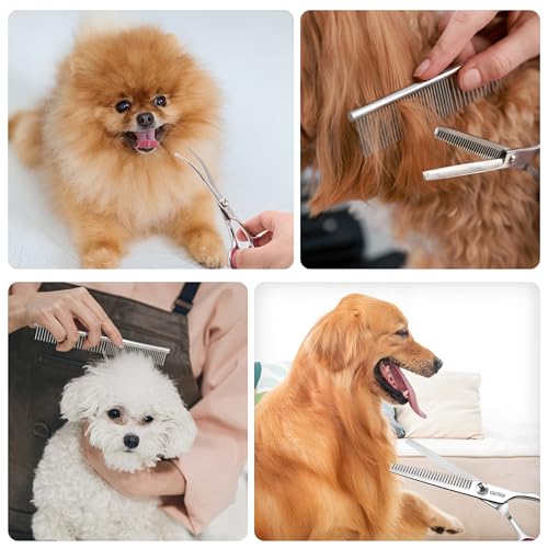 Dog Grooming Scissors with Safety Round Tips Stainless Steel (Rose)