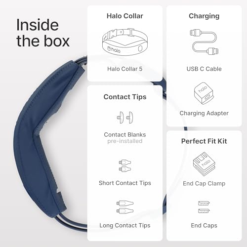 Collar 5 Wireless Dog Fence System (Graphite / One Size)