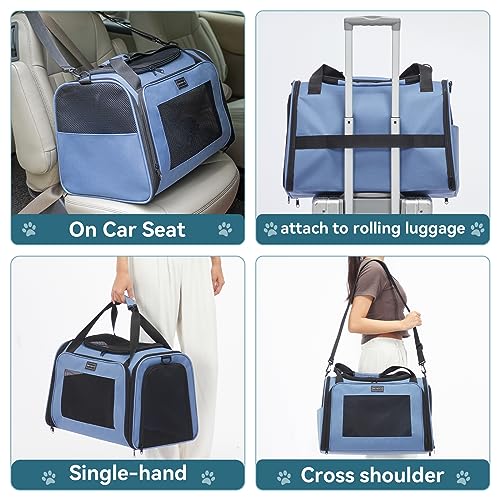 Dog Carrier for Small Dogs (19.7"L x 13.0"W x 13.0"H / Blue)