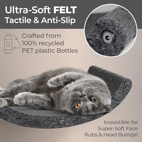 Cat Wall Shelf (Charcoal / 1 Curved Cat Climber)