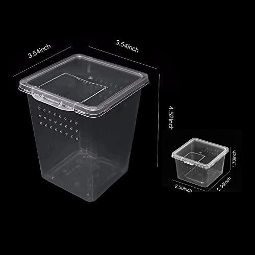Small Reptile breeding Box Spider Terrarium freeding Box for arboreal Tarantula Scorpion Sling Lizards Mantis Jumping Spider Snail Insect Isopods Terrariums Breeding Box