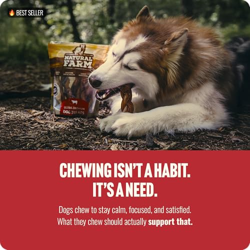 Odor Free Braided Bully Sticks (4-5" Braided - 5 Count)