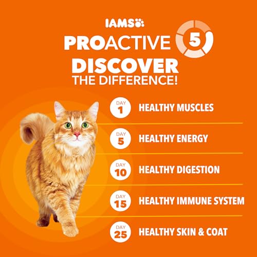 Proactive Health Healthy Adult Dry Cat Food (22 Pound (Pack of 1))