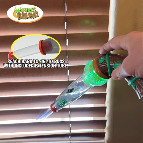 Bug Catcher Toy (New Style)