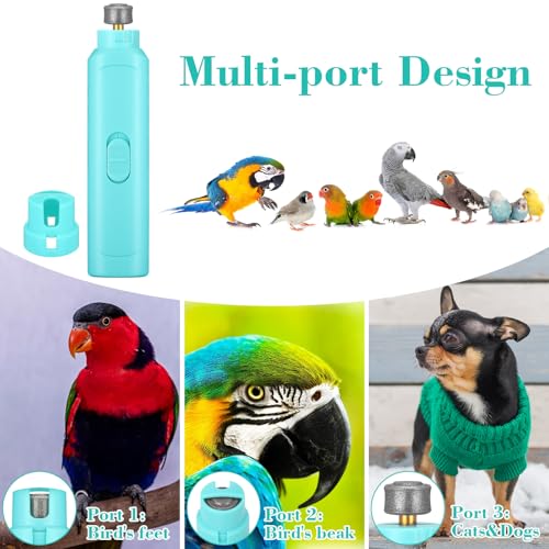 2 Pcs Bird Nail Grinder with Clipper Bird Nail Trimmer File Pet Grooming Tool for Parrot Budgerigars Parakeets Myna Conure Finches Lovebirds (Cyan Blue)