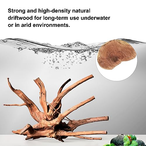 Natural Driftwood for Aquarium Decor Fish Tank Decor Reptile Decor (Spiderwood 7 to 11 Inch(Pack of 3))
