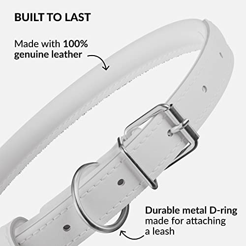 Tangle Free Rolled Leather Dog Collar