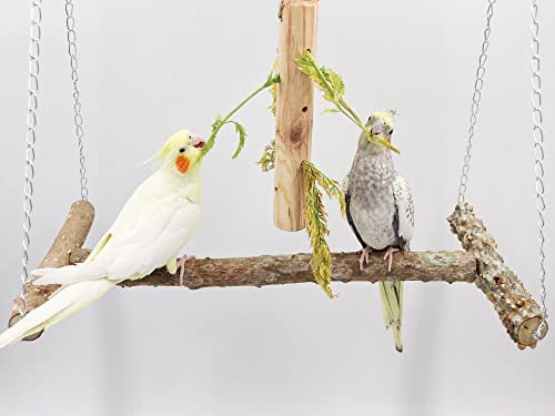 Large Bird Perch Swing Toy
