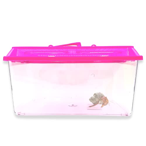 Mini Neon Plastic Reptile Carrier