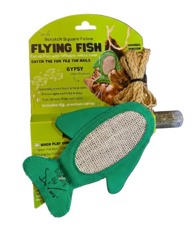 Cat Scratcher Toy