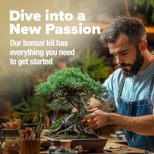 Bonsai Tree Starter Kit