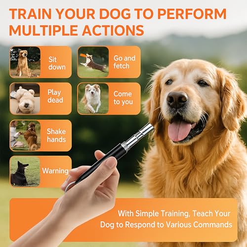 Dog Whistle Set of 5