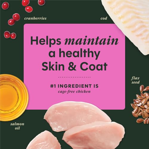 Raw Boost Mixers Skin & Coat Health Freeze (5.5 Ounce (Pack of 1))