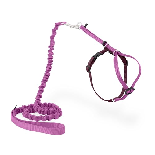 Come with Me Kitty Harness and Bungee Cat Leash (Small (Pack of 1) / Dusty Rose)