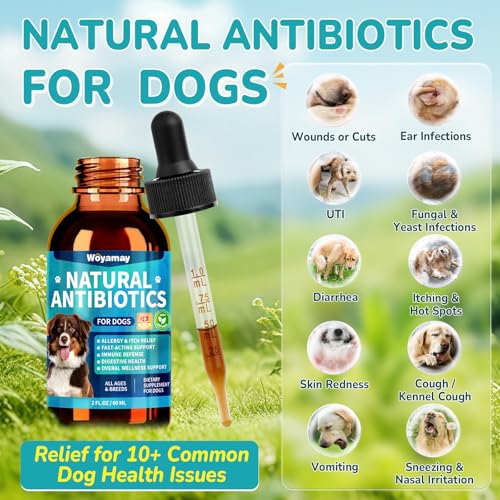 Antibiotics for Dogs (2 Pack)