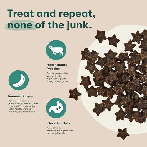 Dog Training Treats (1 Pound (Pack of 1))